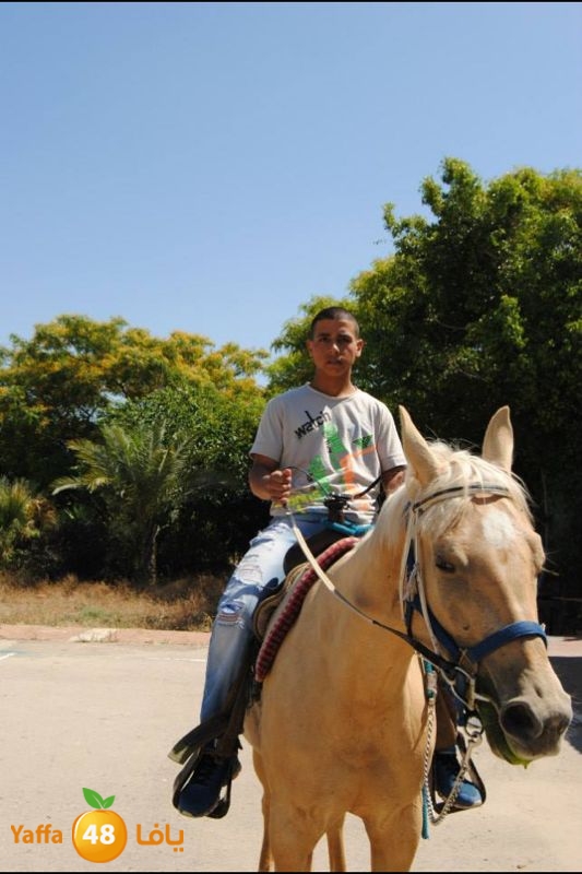 torath droor  (9).JPG